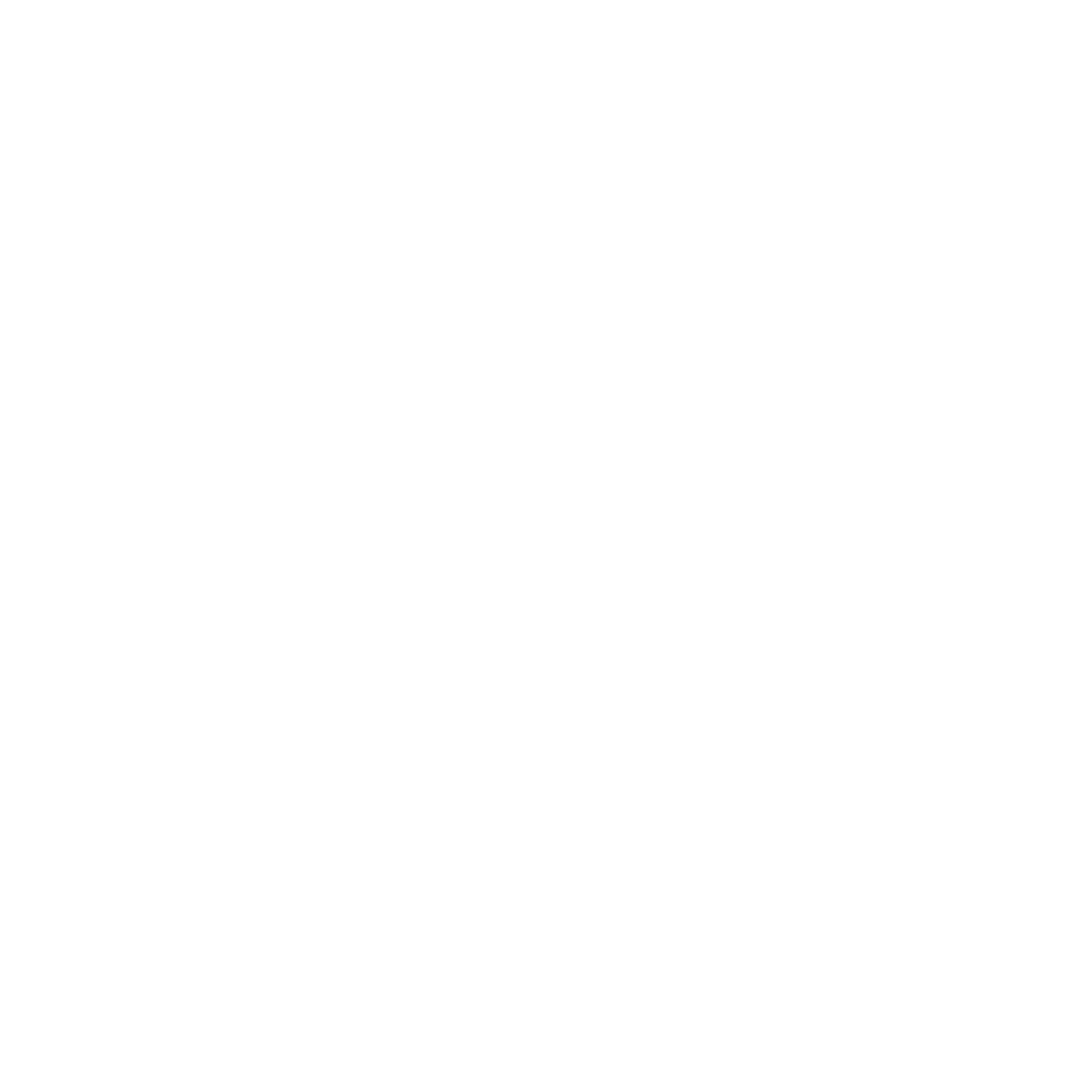 USP Icon 3
